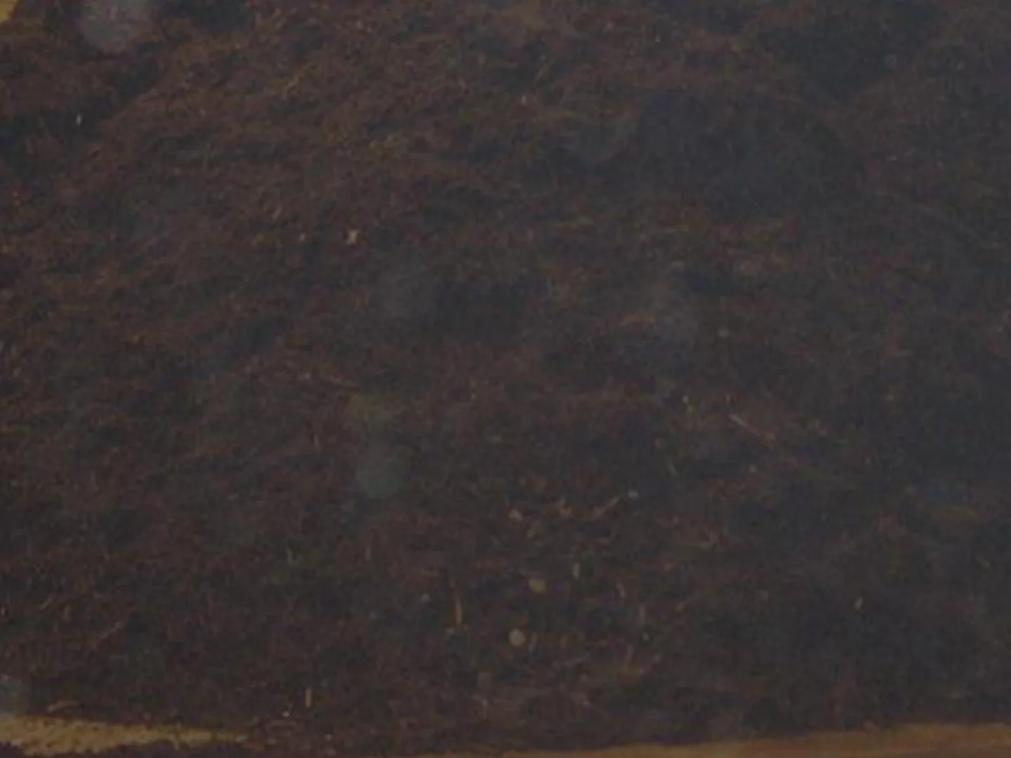 Halton Recycling — SSO Diversion & Cogen Facility - 10